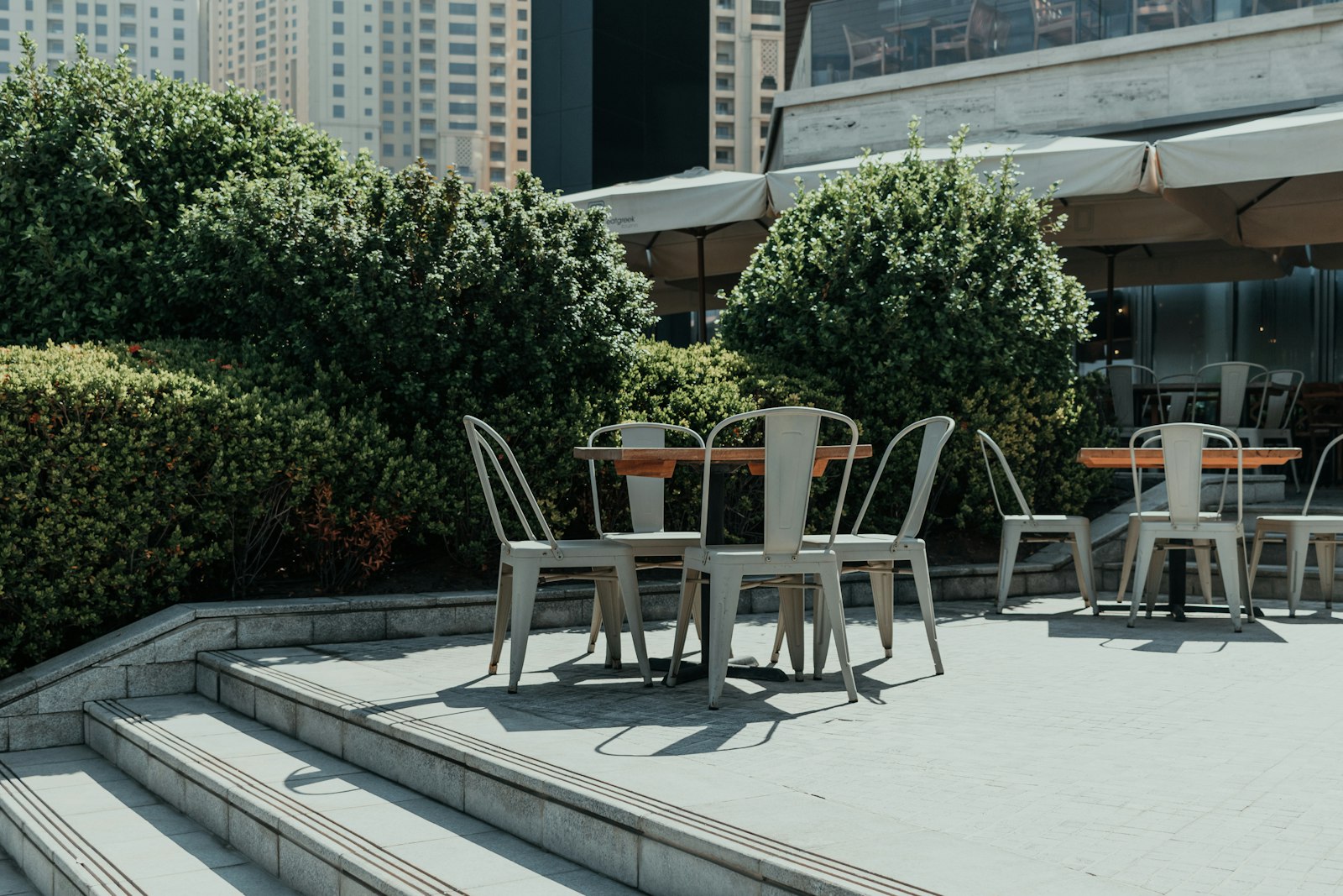 Roof & terrace